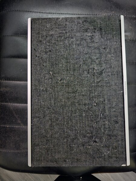 Bang&Olufsen Level loudspeaker